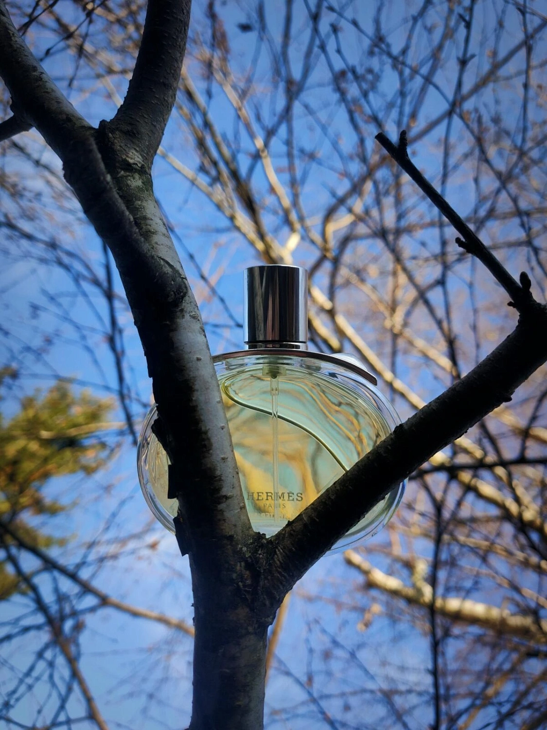 Hermès Barenia