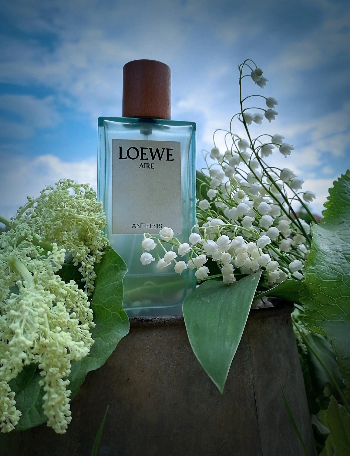 Loewe Aire Anthesis