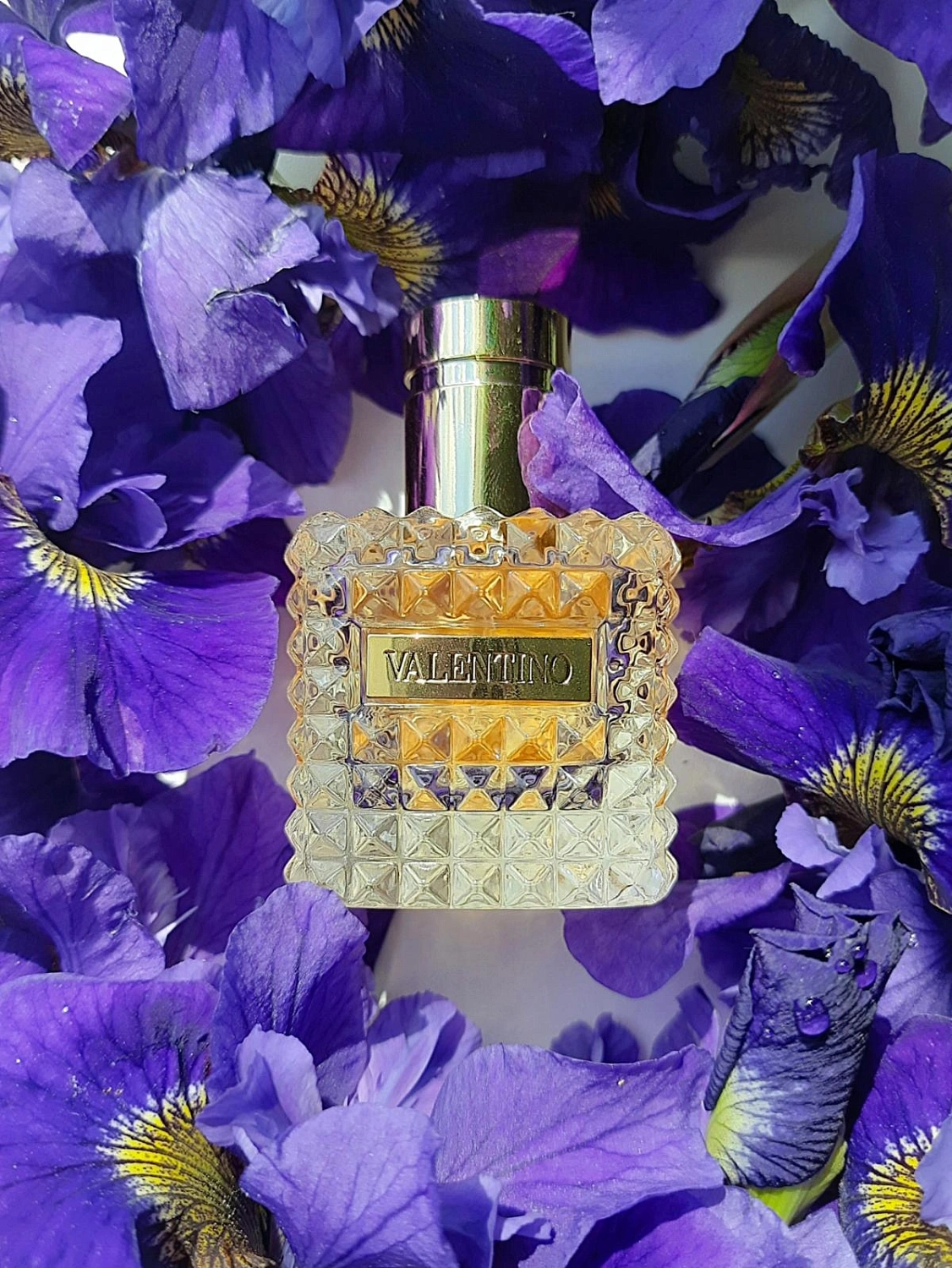 Valentino Donna
