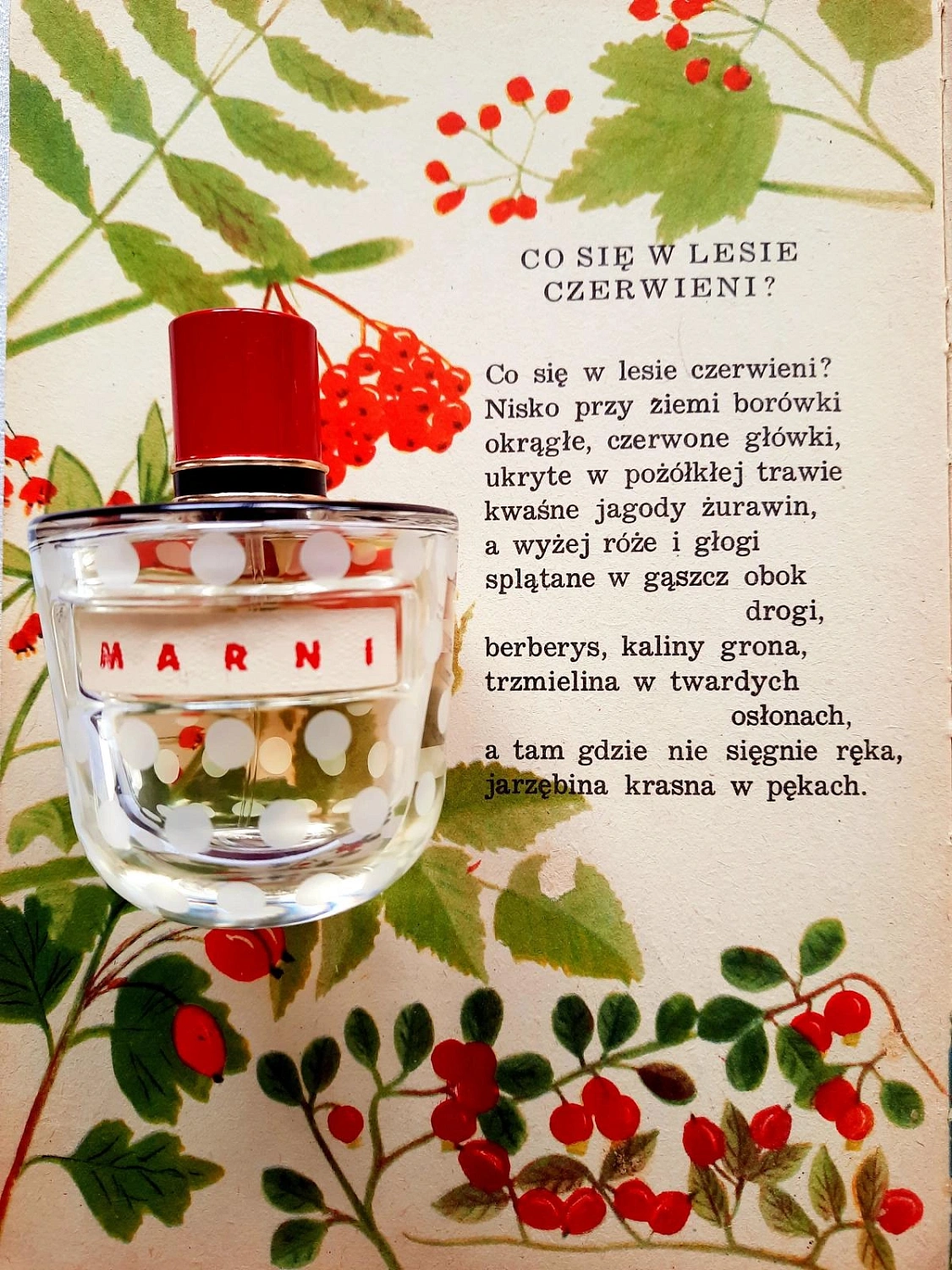 Marni