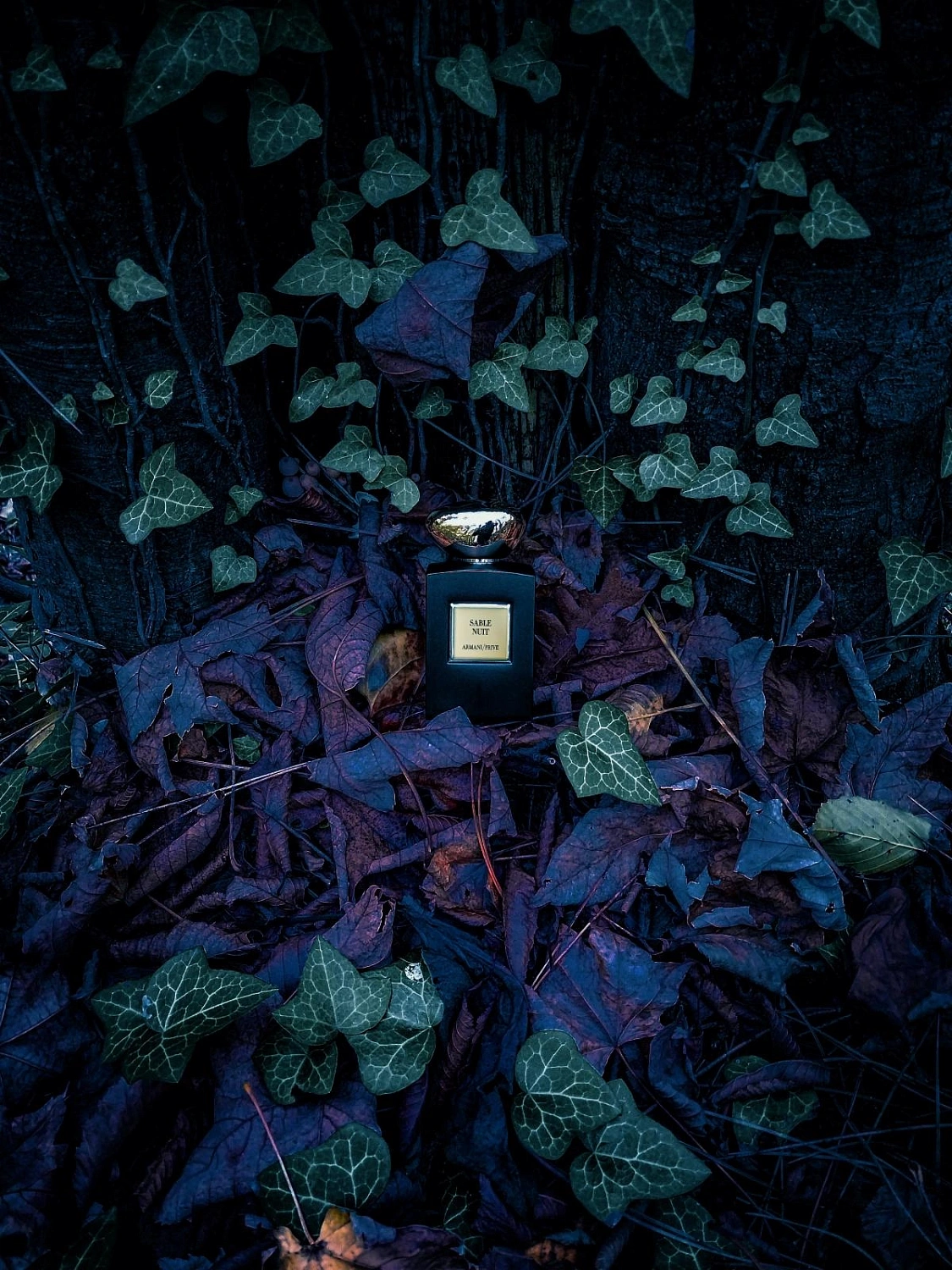Armani Sable Nuit