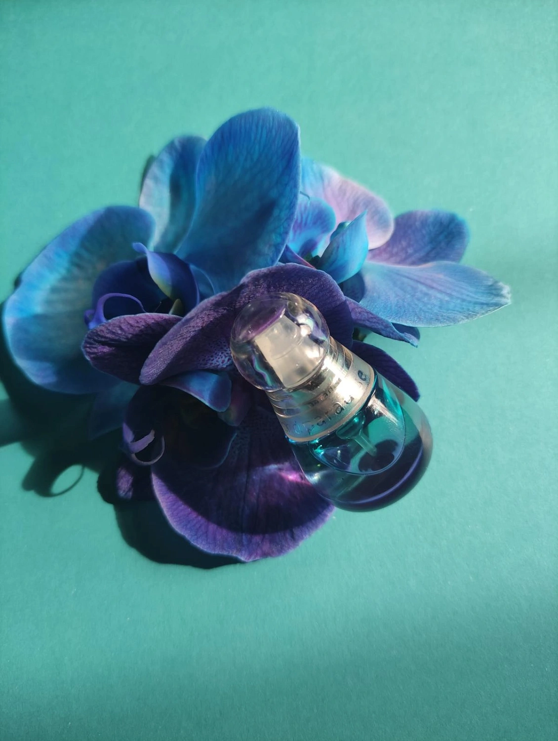 Estée Lauder Beyond Paradise