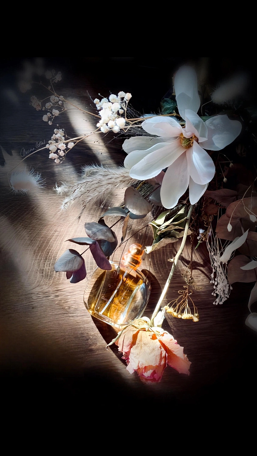 Christian Dior Dune