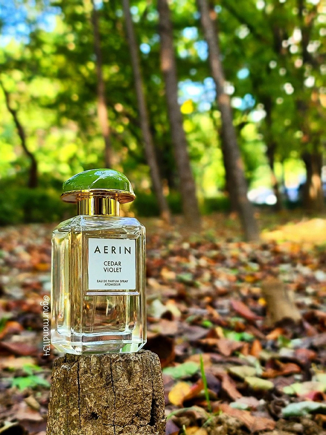 AERIN Cedar Violet