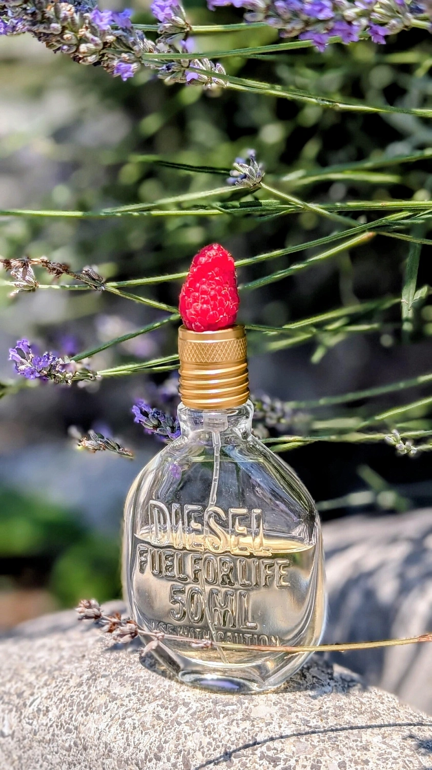 Diesel Fuel for Life Men