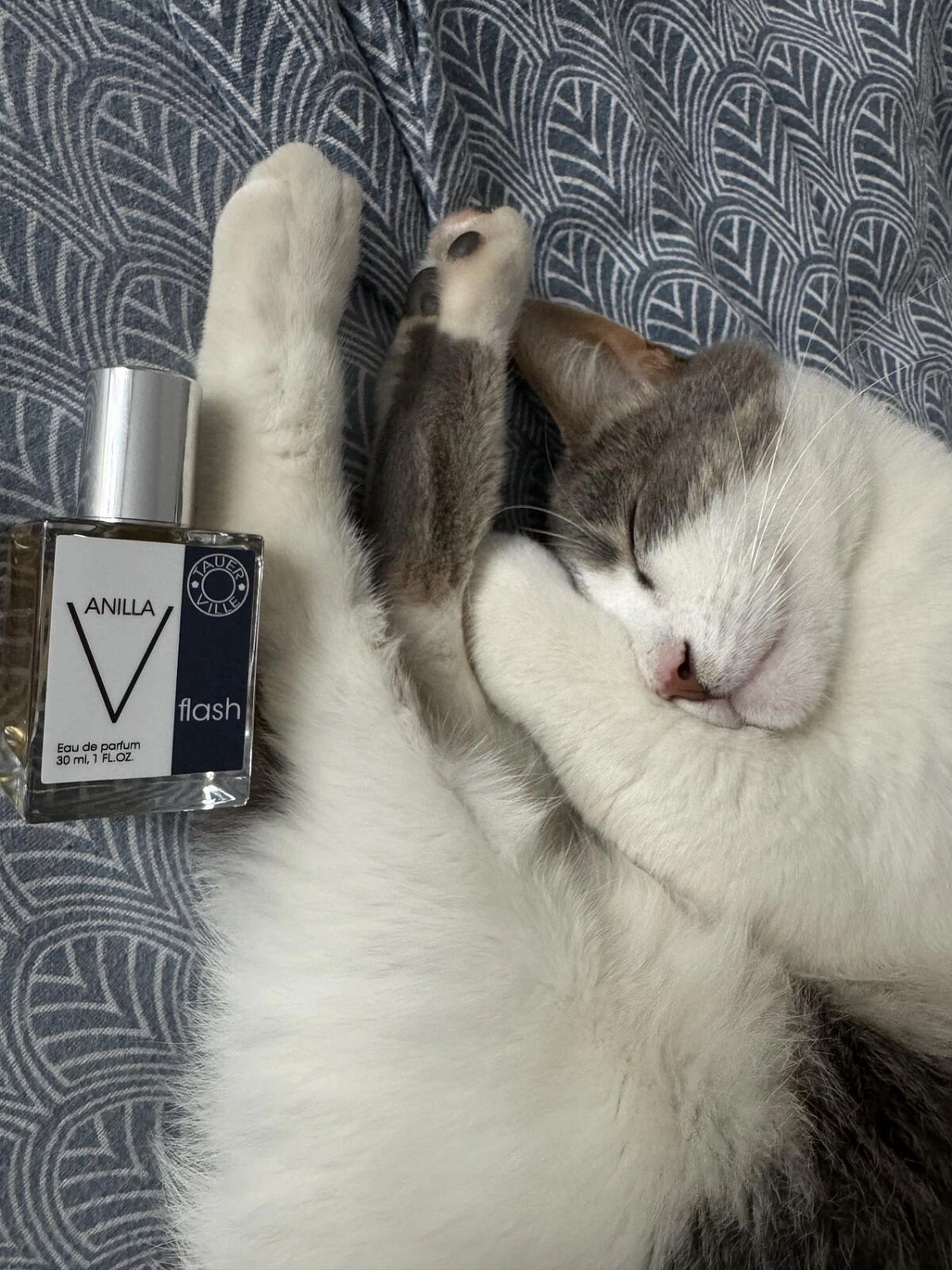 Tauerville Vanilla Flash