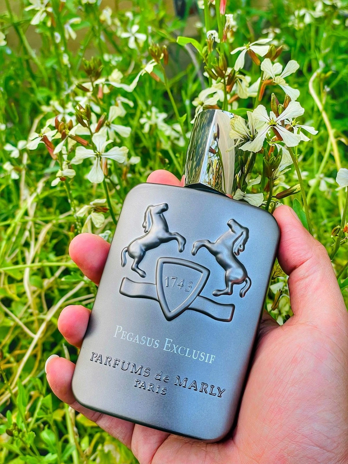 Parfums de Marly Pegasus Exclusif