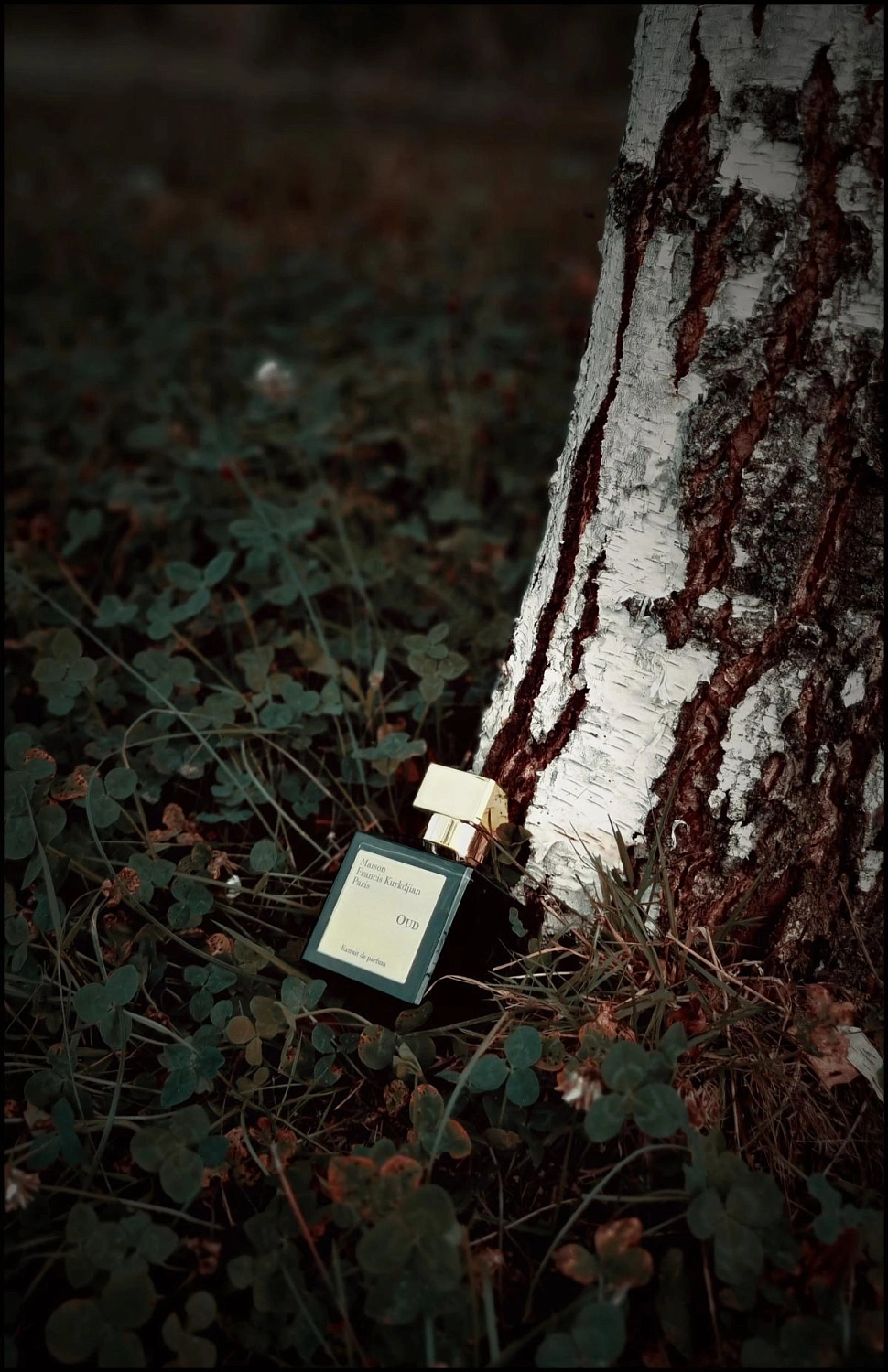 Maison Francis Kurkdjian Oud Extrait de Parfum