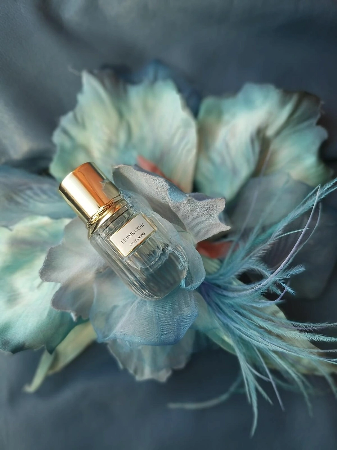 Estée Lauder Tender Light