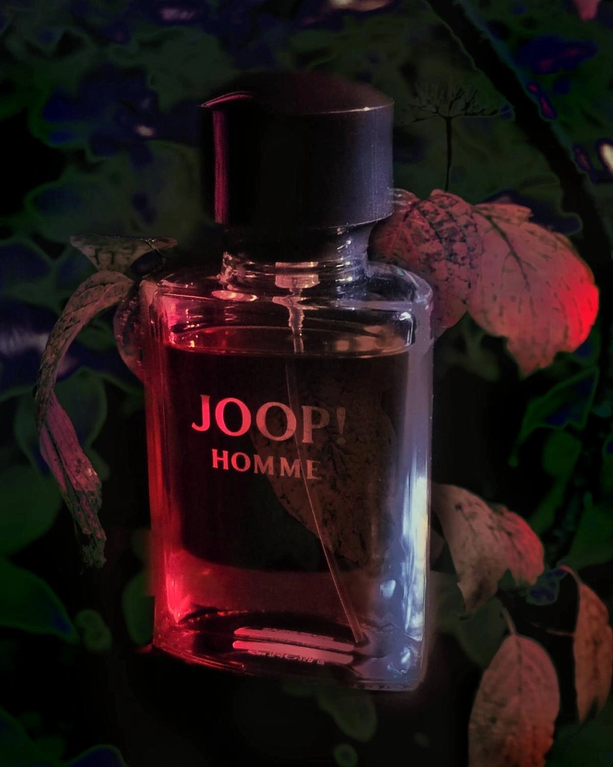 Joop! Homme