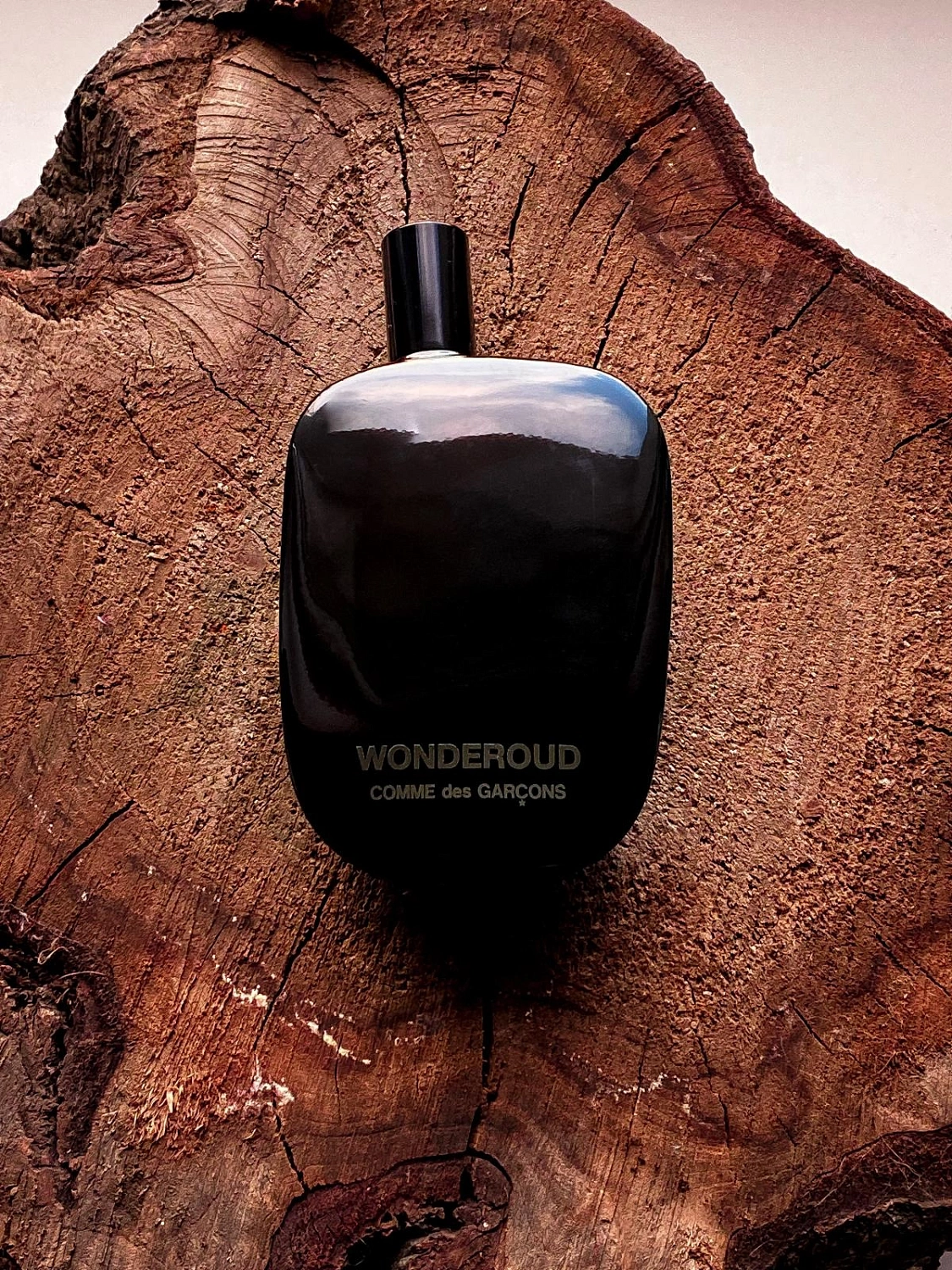 Comme des Garçons Wonderoud