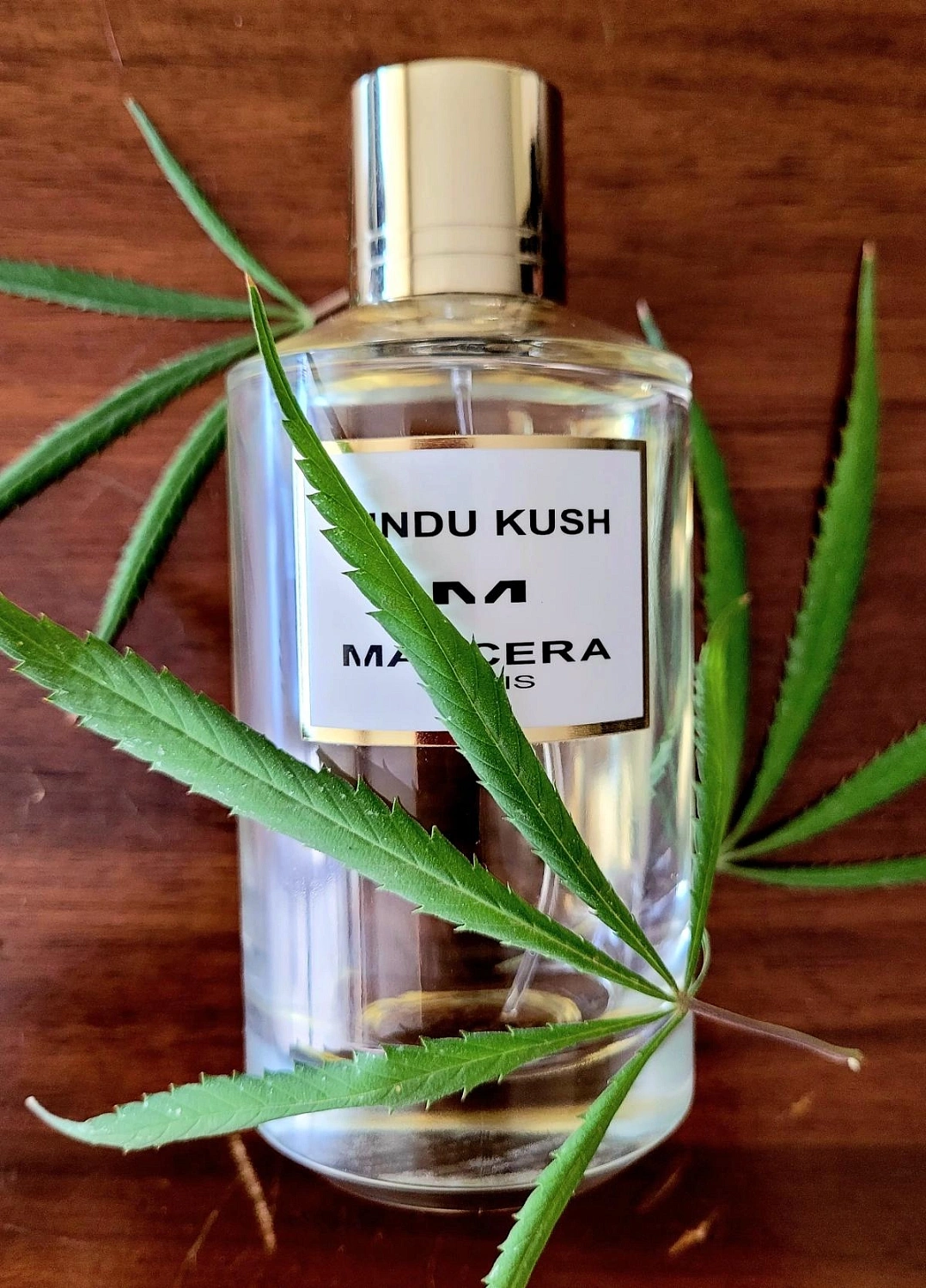 Mancera Hindu Kush