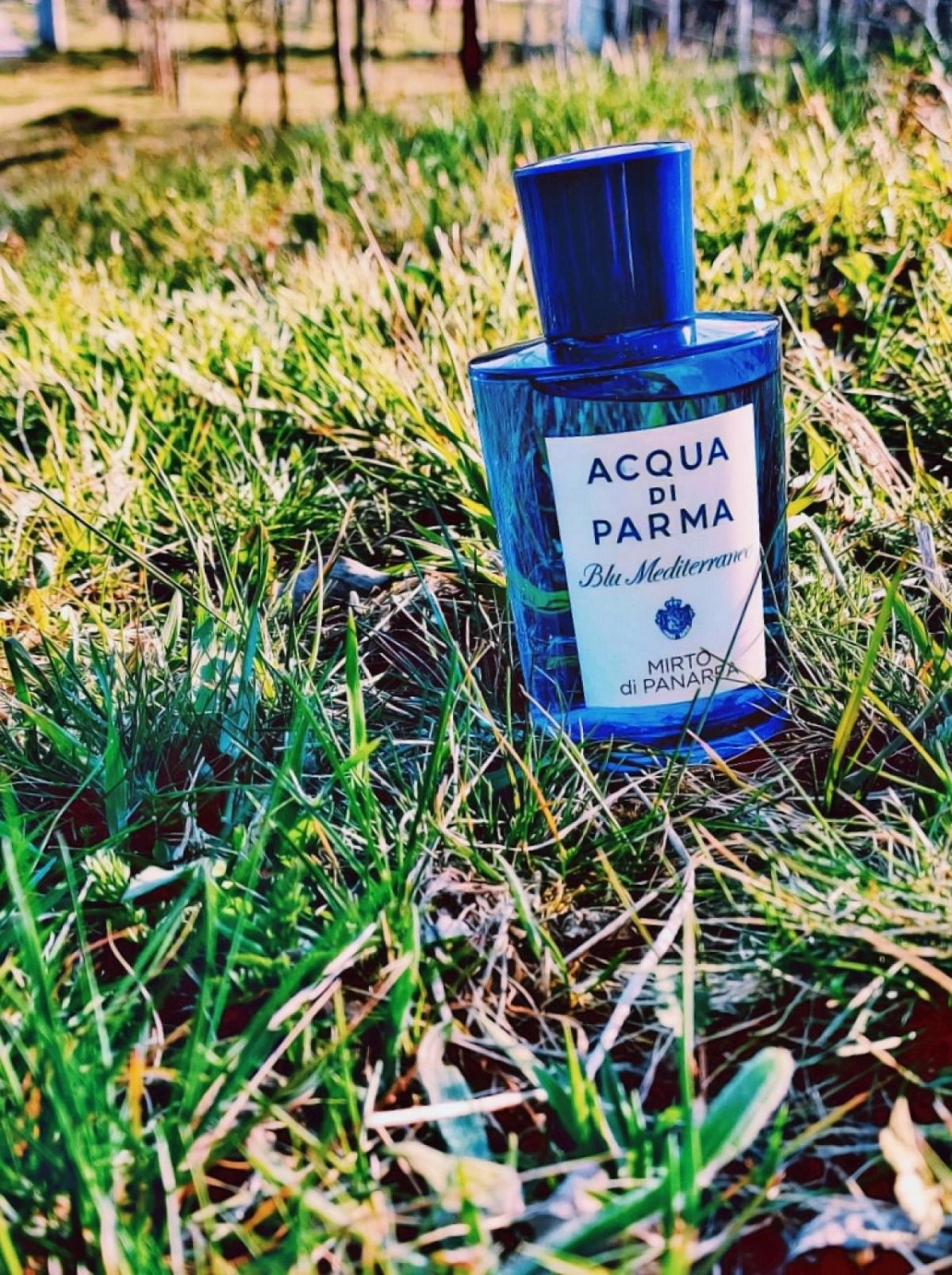 Acqua di Parma Mirto di Panarea