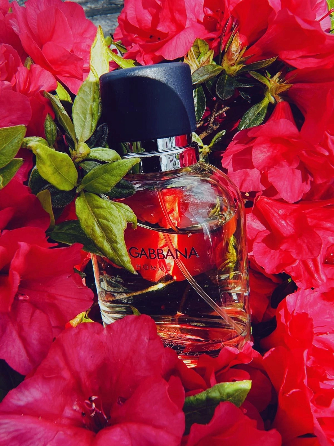 Dolce & Gabbana Dolce&Gabbana Pour Homme