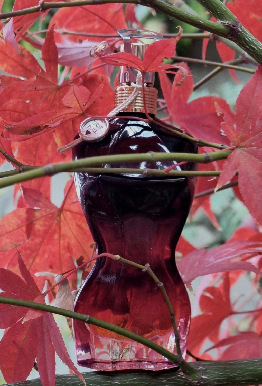 Jean Paul Gaultier La Belle Le Parfum