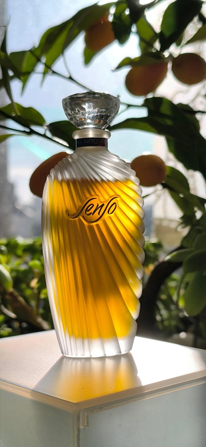 Emanuel Ungaro Senso