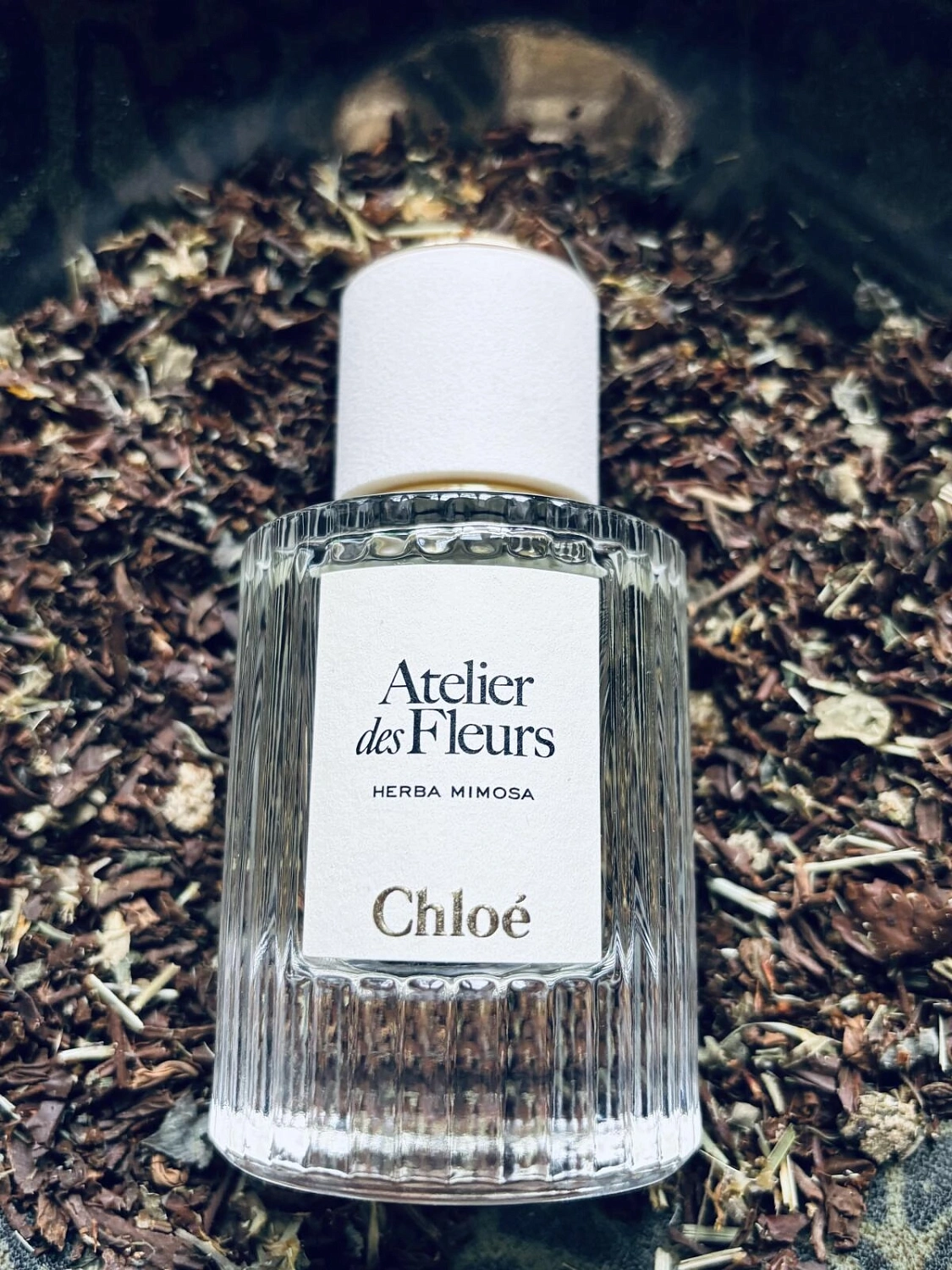 Chloé Atelier Des Fleurs Herba Mimosa