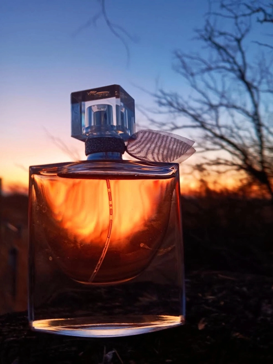 Lancôme La Vie est Belle