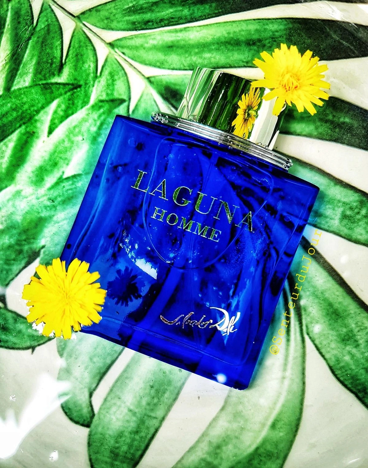 Salvador Dalí Laguna Homme