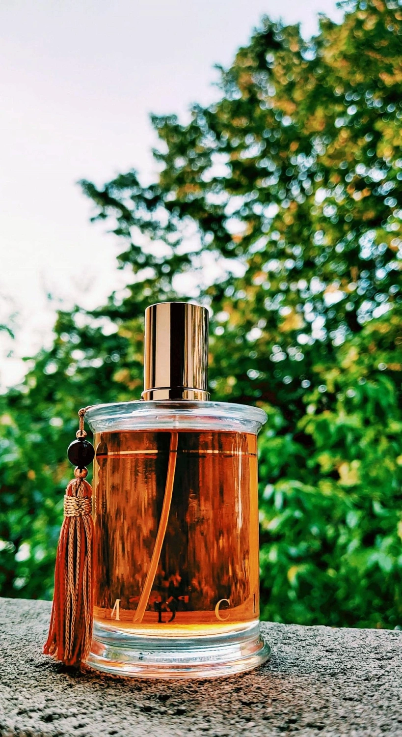 MDCI Chypre Palatin