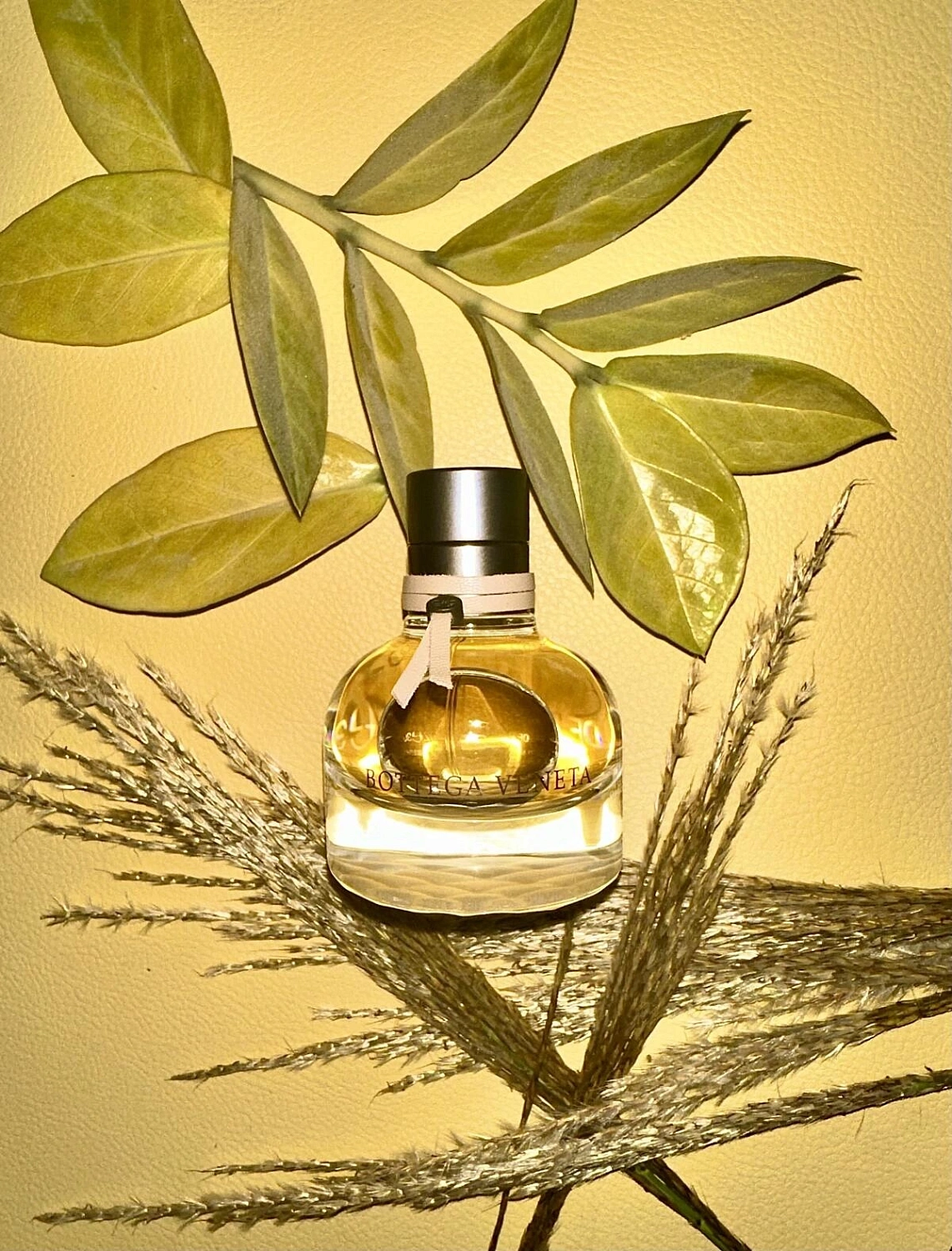 Bottega Veneta