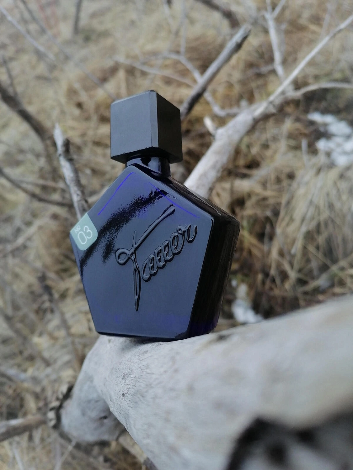 Tauer Perfumes 03 Lonestar Memories
