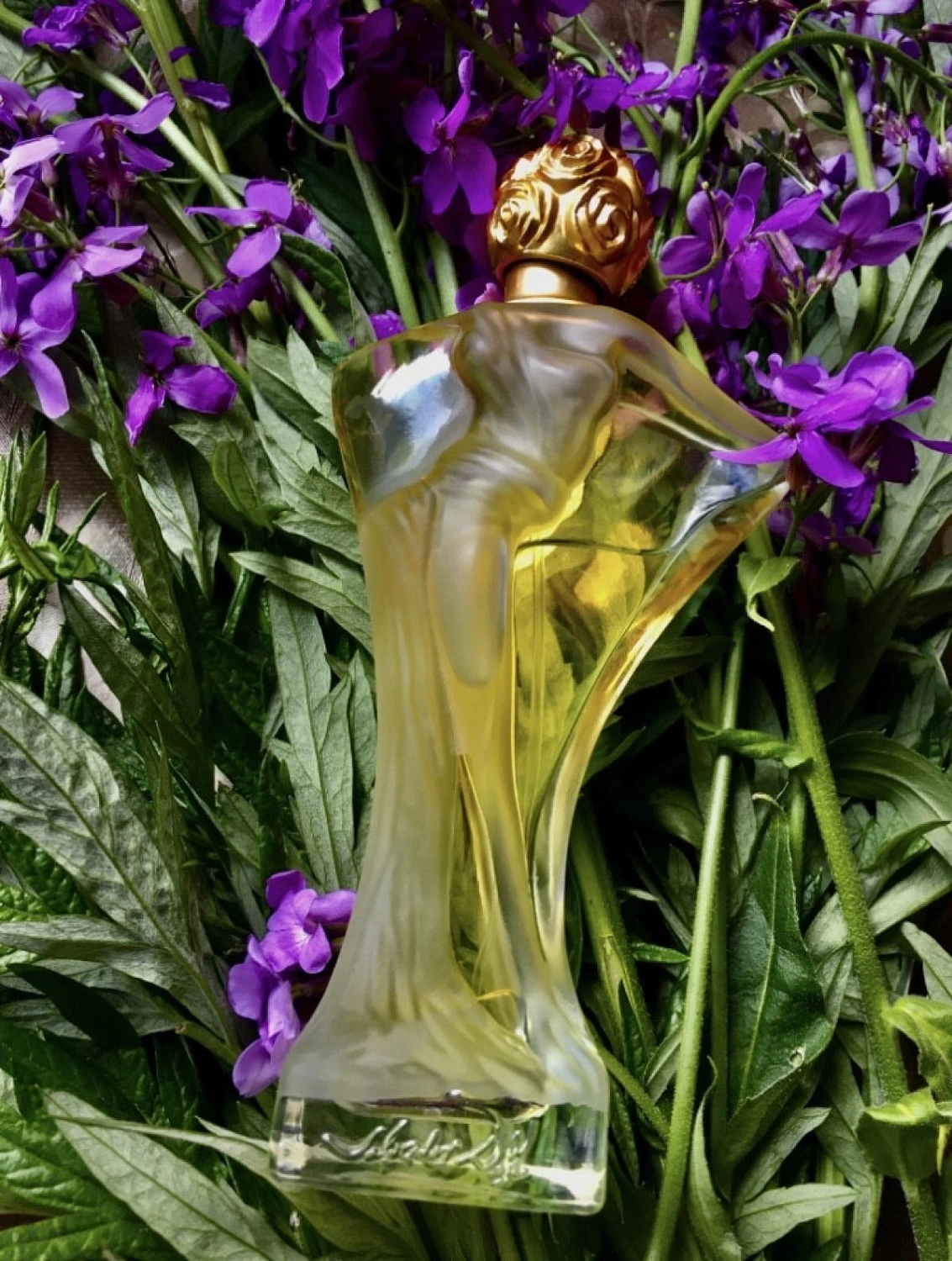 Salvador Dalí Daliflor