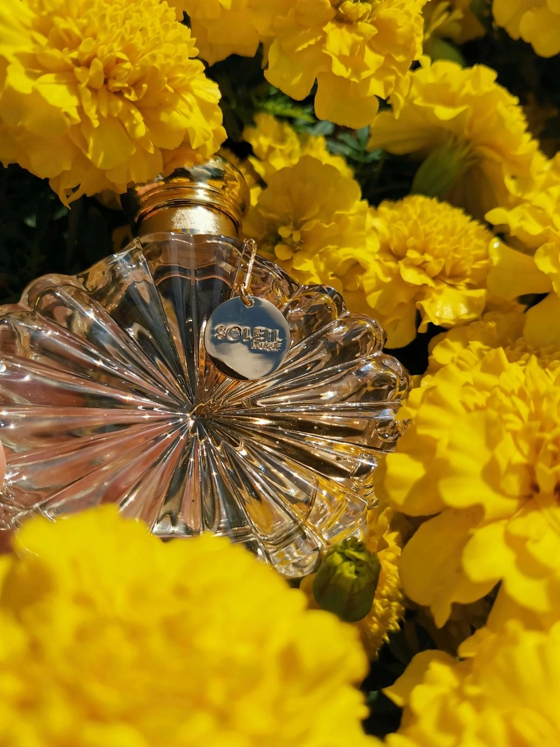 Lalique Soleil