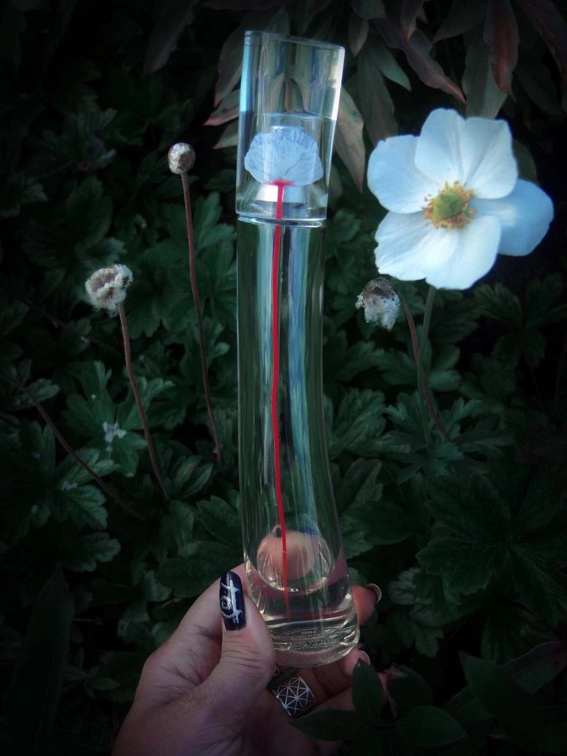 Flower by Kenzo L'Eau Originelle