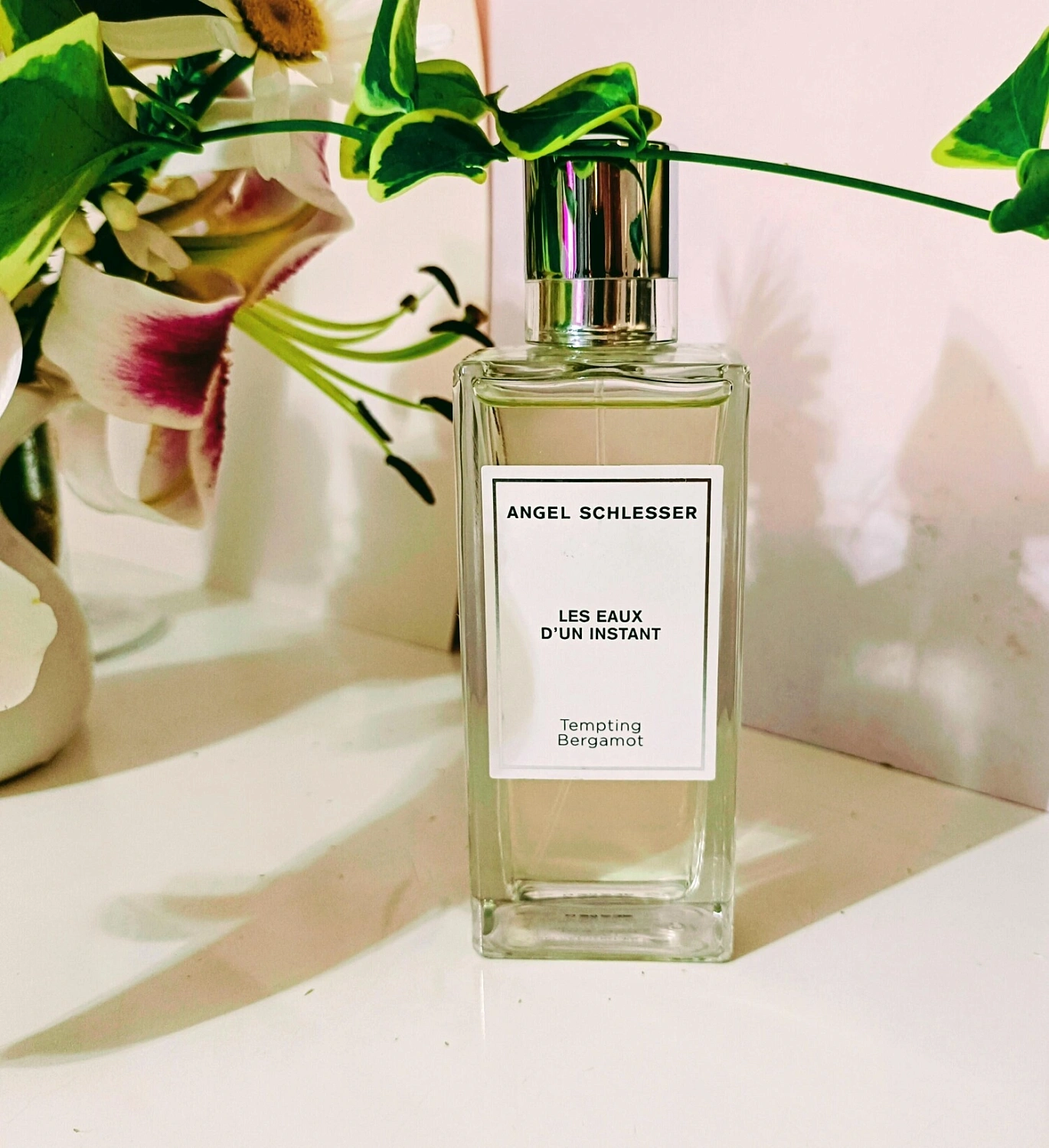 Angel Schlesser Tempting Bergamot