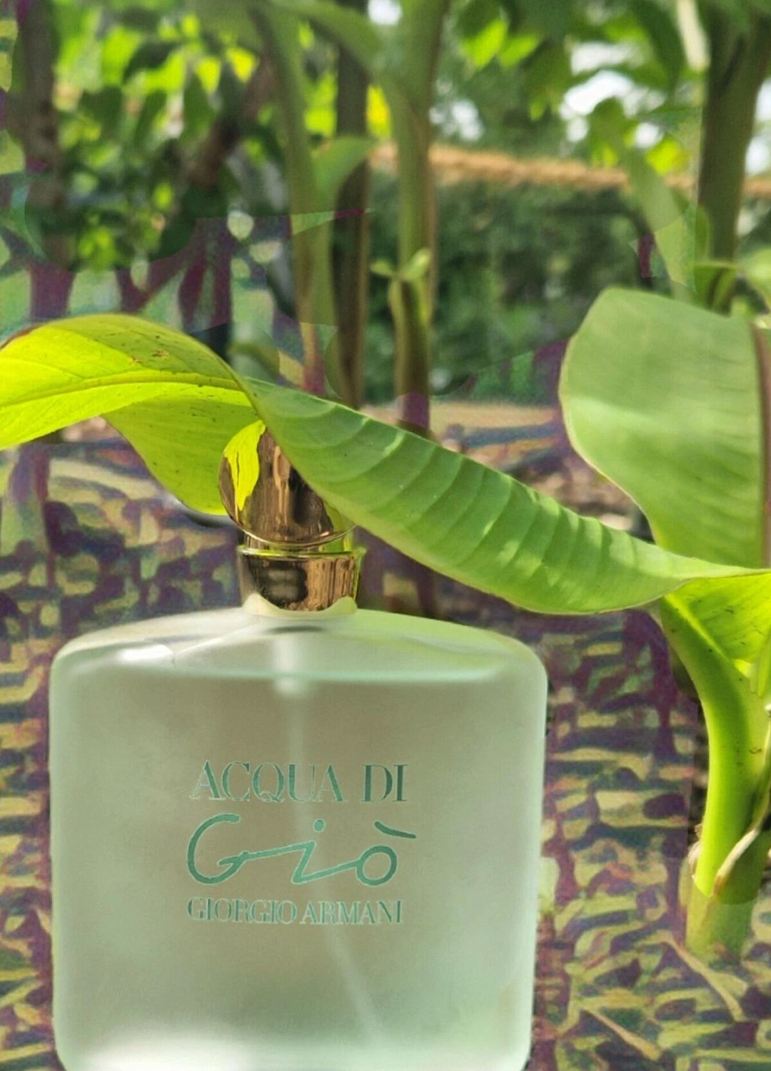 Armani Acqua di Gio