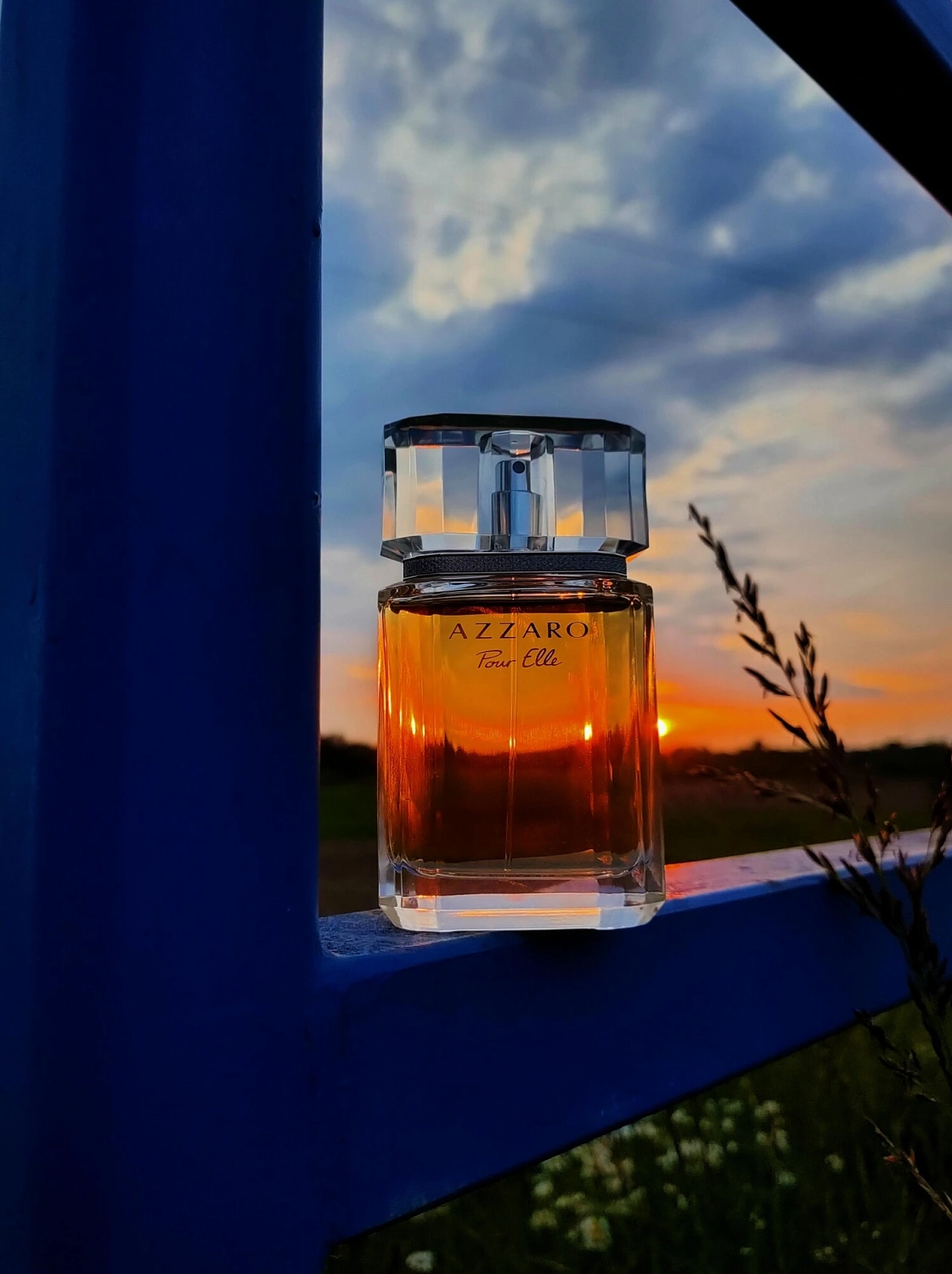 Azzaro Pour Elle