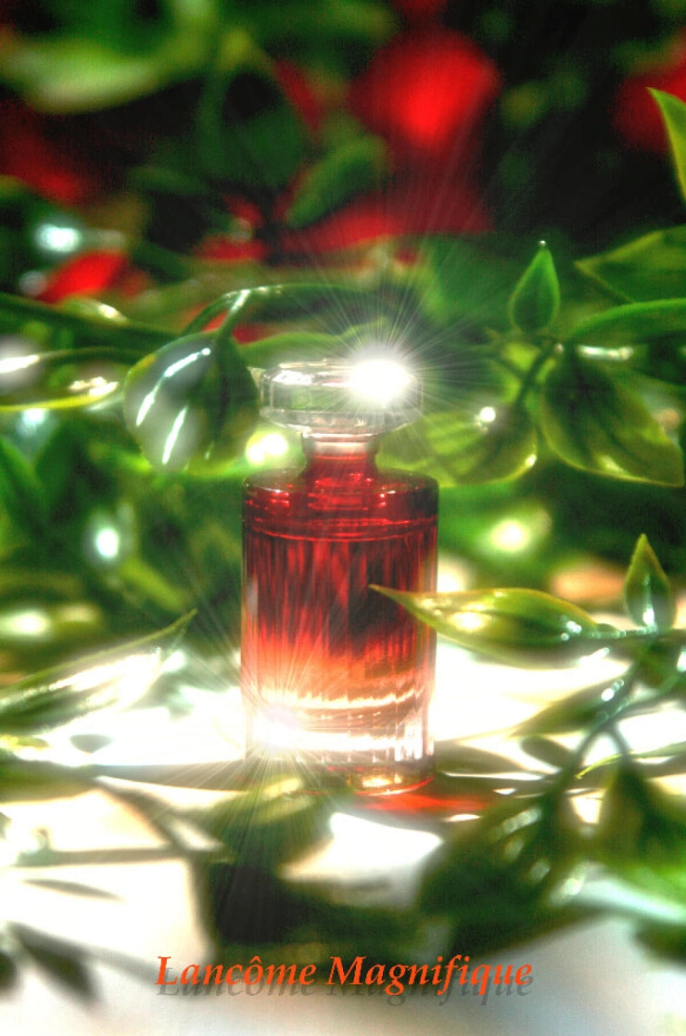 Lancôme Magnifique
