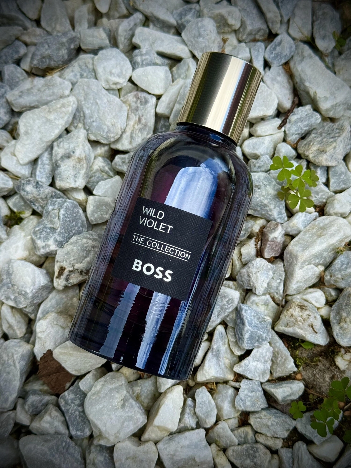 Hugo Boss Wild Violet