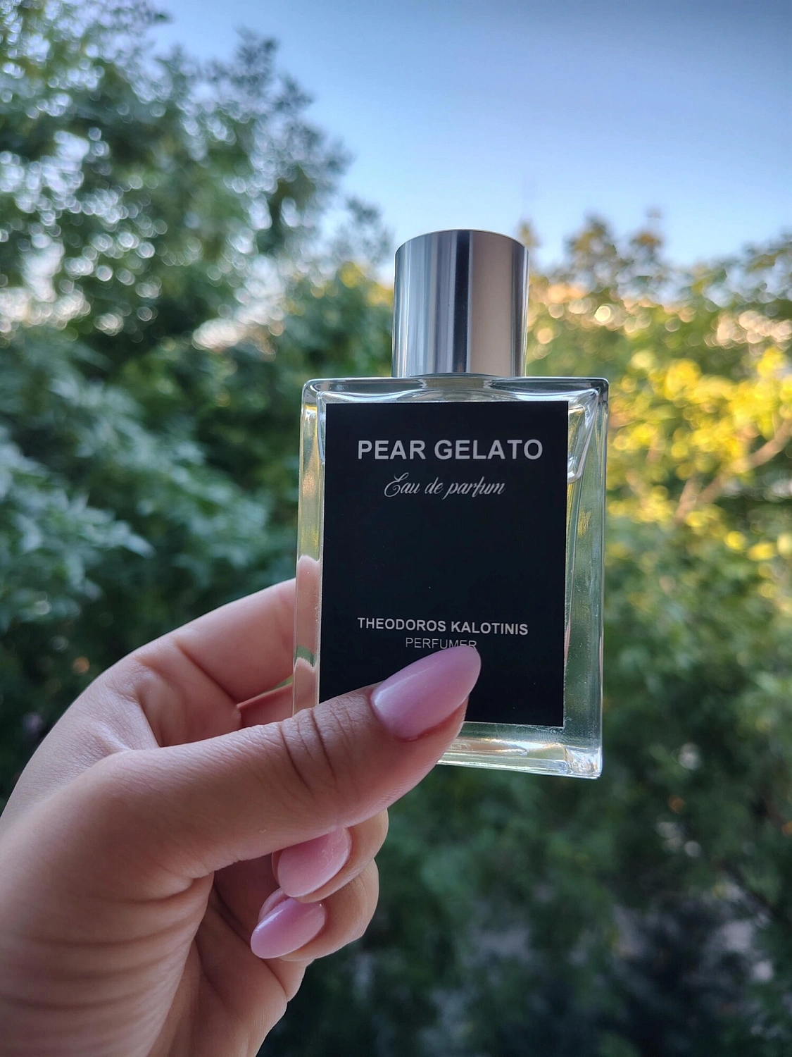 Theodoros Kalotinis Pear Gelato