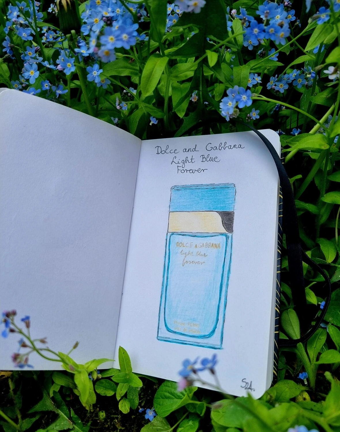 Dolce & Gabbana Light Blue Forever