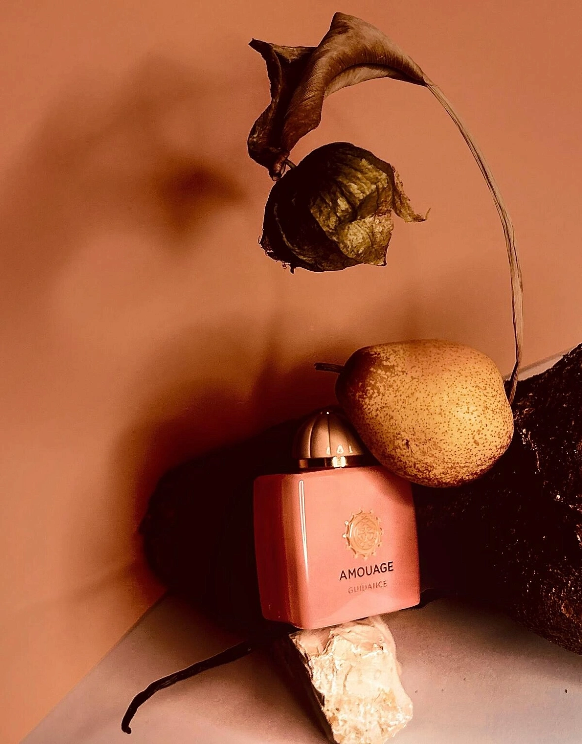 Amouage Guidance