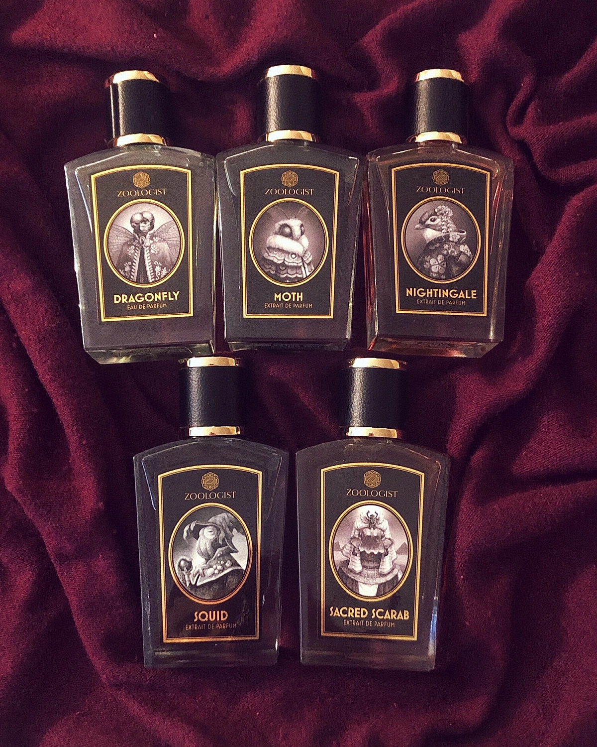 Zoologist Perfumes Dragonfly 2021