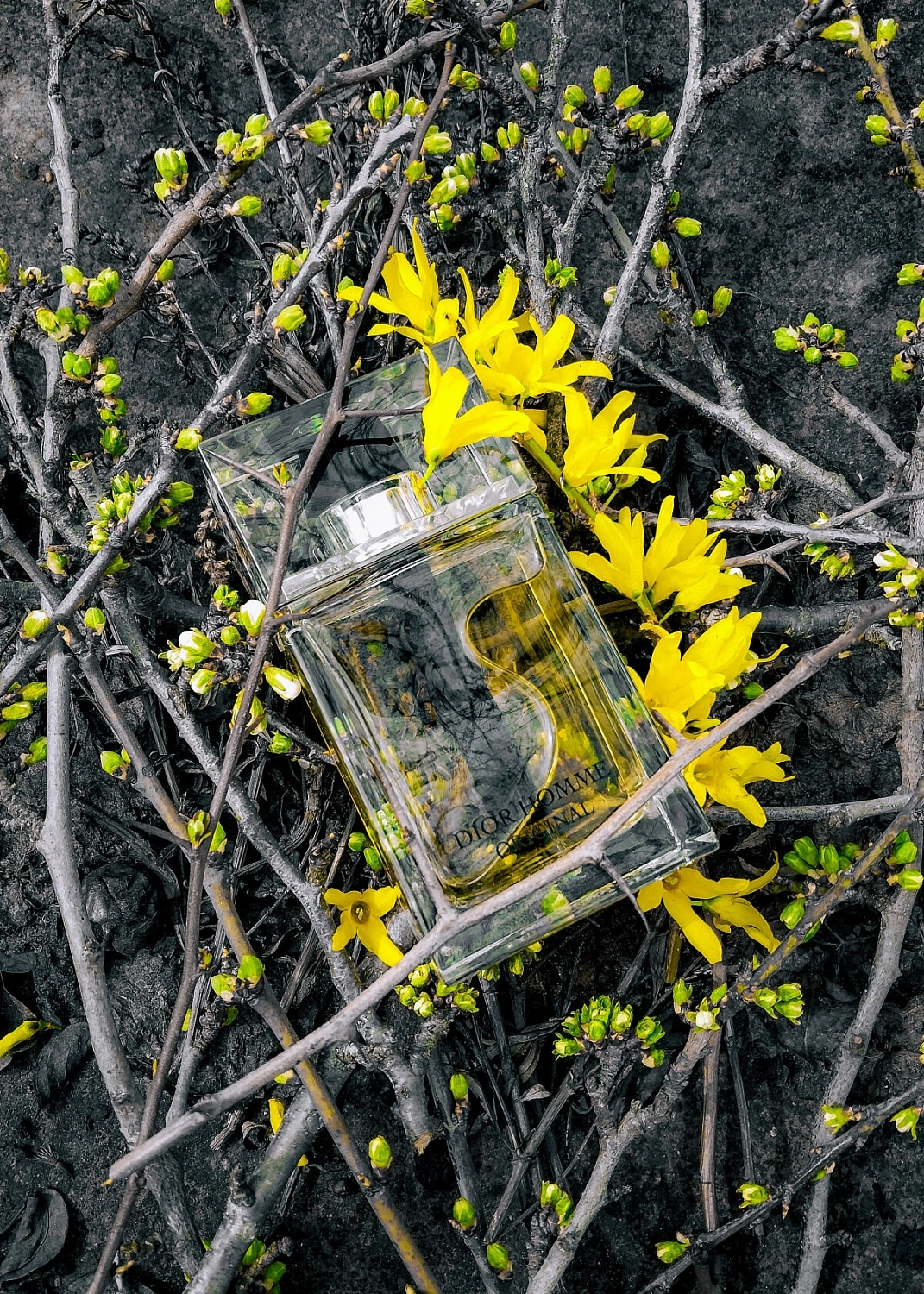 Christian Dior Homme Original