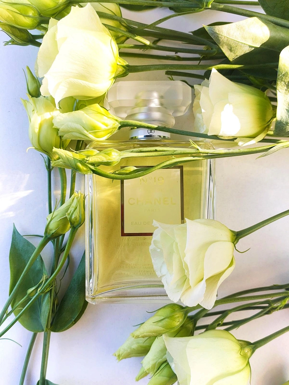 Chanel N°19 Poudre