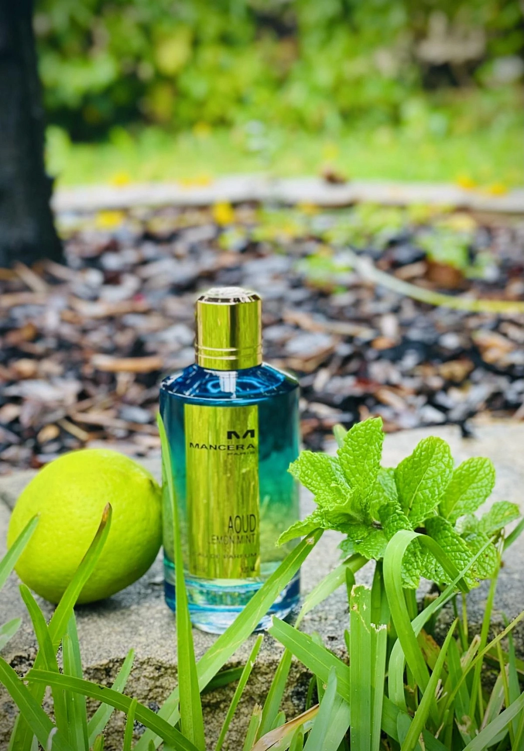 Mancera Aoud Lemon Mint