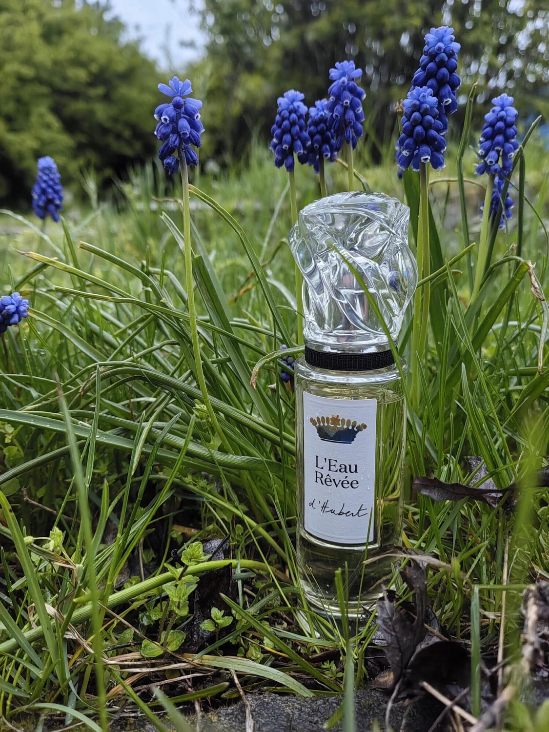 Sisley L'Eau Revee D'Hubert