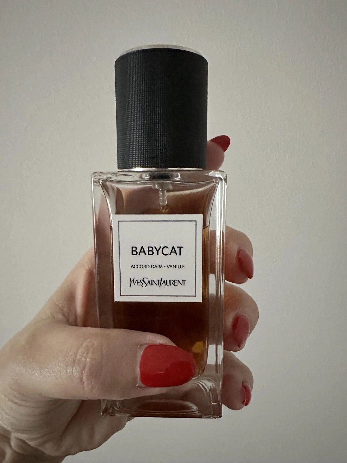 Yves Saint Laurent Babycat