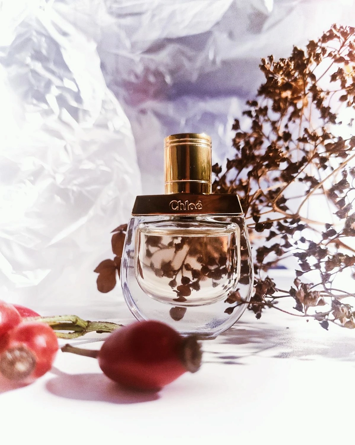 Chloé Nomade Jasmin Naturel Intense