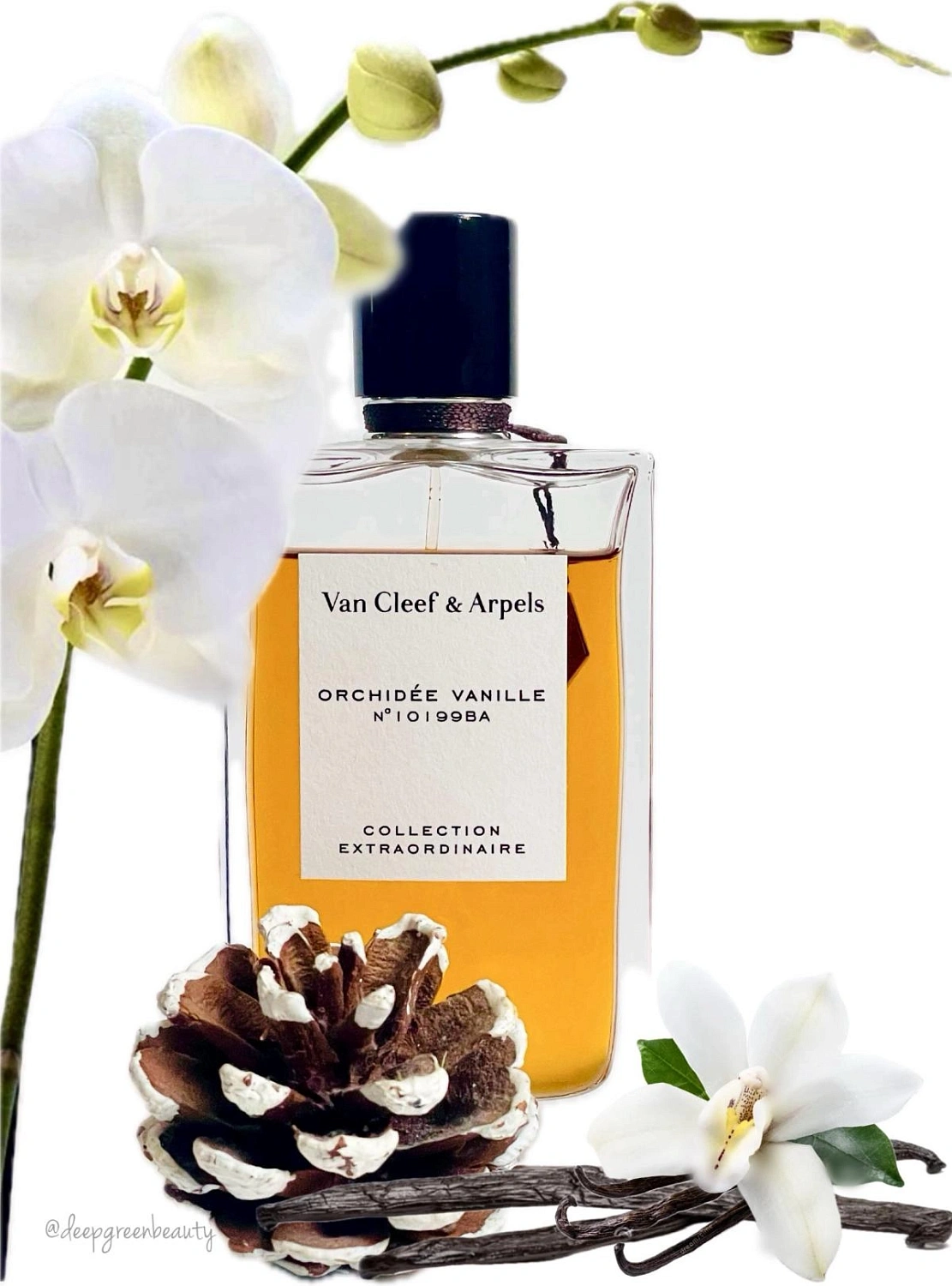 Van Cleef & Arpels Collection Extraordinaire Orchidee Vanille