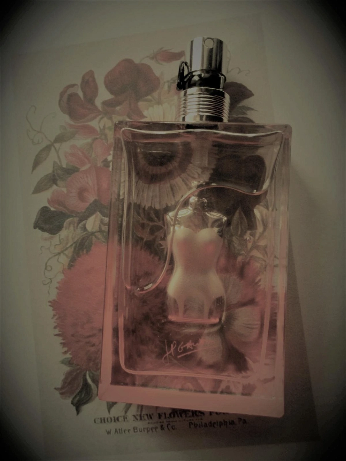Jean Paul Gaultier Ma Dame