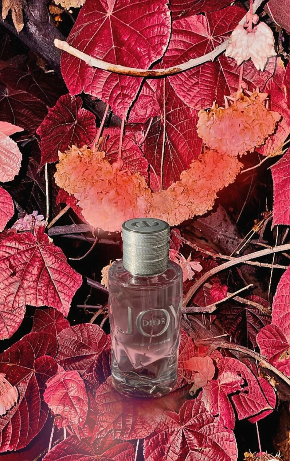 Christian Dior Joy by Dior
