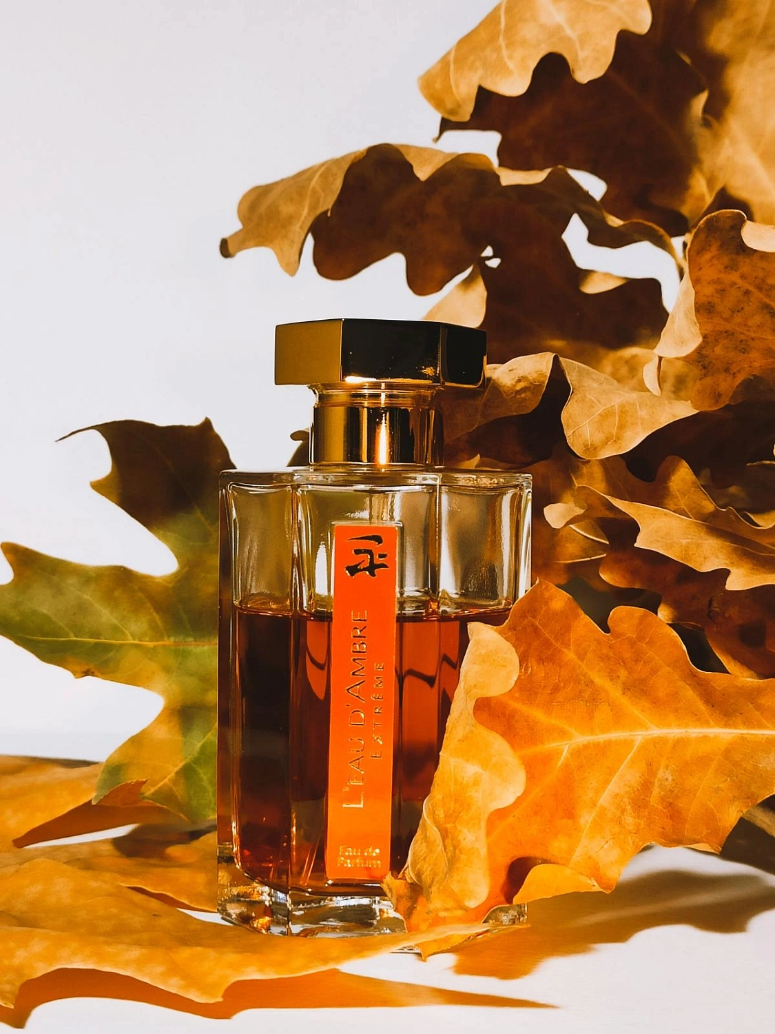 L'Artisan Parfumeur L'Eau d'Ambre Extreme
