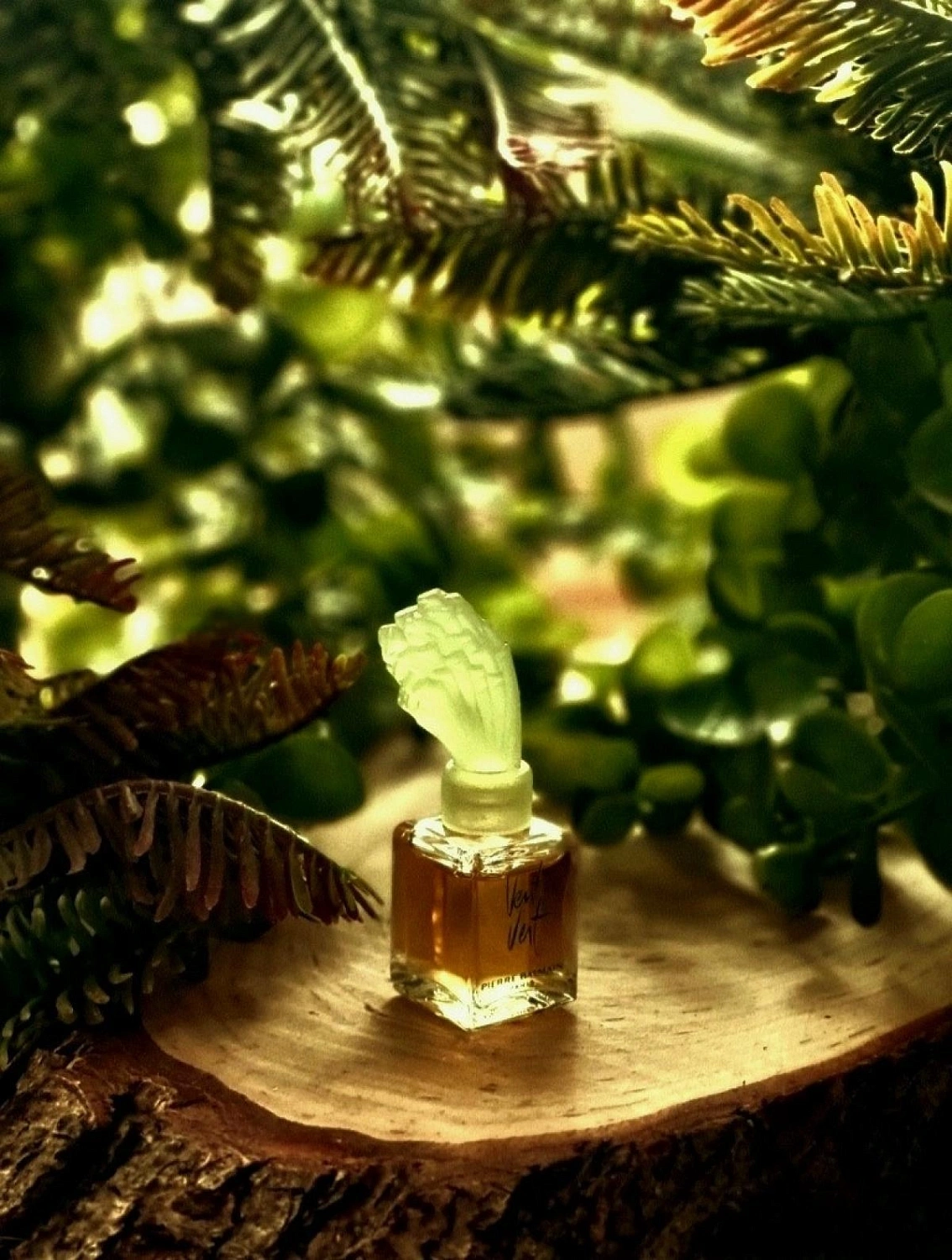 Balmain Vent Vert
