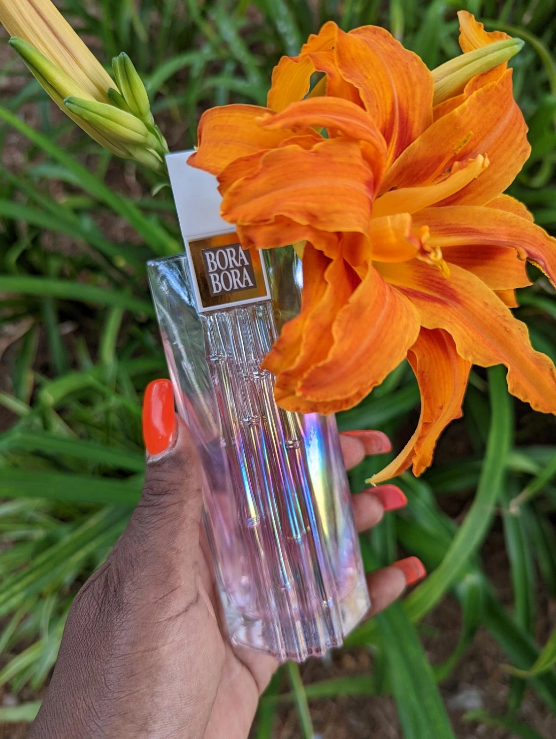 Liz Claiborne Bora Bora